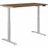 Interion By Global Industrial Interion® Electric Height Adjustable Desk, 48"W x 30"D, Walnut W/ Gray Base