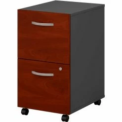 Bush Business Furniture Bush Furniture Two Drawer File Cabinet (Assembled) - Hansen Cherry - Series C -Outlet Desks & Workstations Store BUM WC24452SU