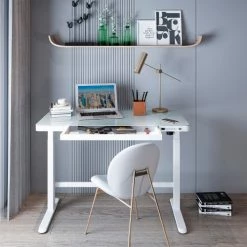 Flexispot All-in-One Height Adjustable Standing Desk, 48"L x 24"W, Glass, White Top -Outlet Desks & Workstations Store FG8W 08