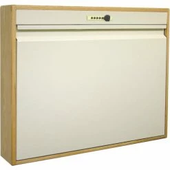 Omnimed® Elite Full Size Wood Frame Wall Desk, Self Close, Key Lock, Beige/Oak