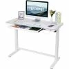 Flexispot All-in-One Height Adjustable Standing Desk, 48"L x 24"W, Chipboard, White Top